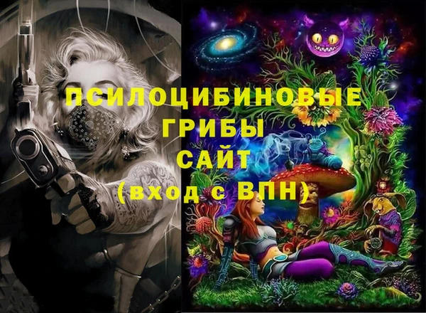 круглые Аркадак