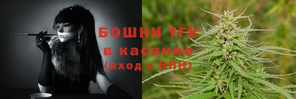 тгк Арсеньев