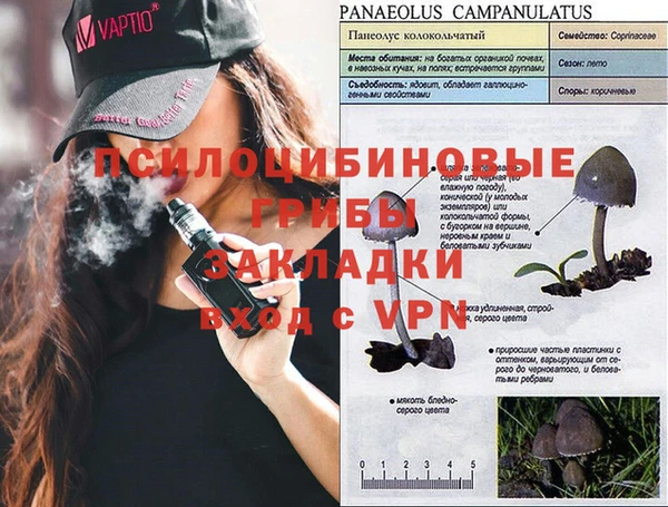 круглые Аркадак